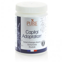 Capital Adaptation*